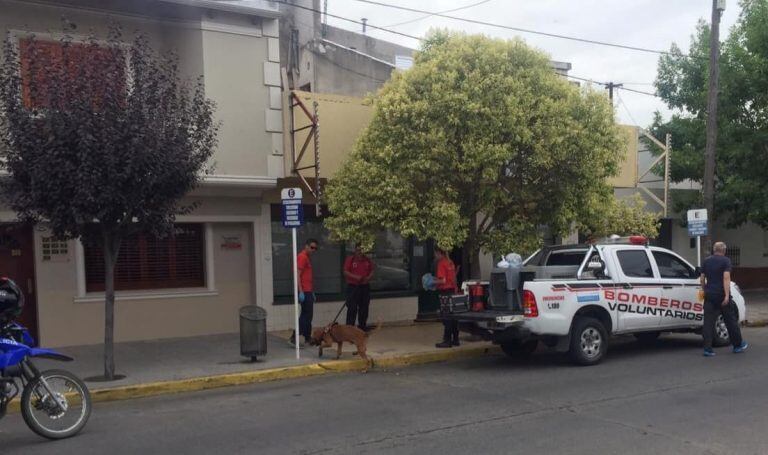 La agrupación k9 de los bomberos voluntarios se encuentra trabajando junto a los uniformados