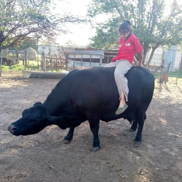 Victoria Rovetto, con 12 años, es amansadora de caballos en General Cabrera, Córdoba, y su técnica es furor en cada encuentro de animales de este tipo en el interior.