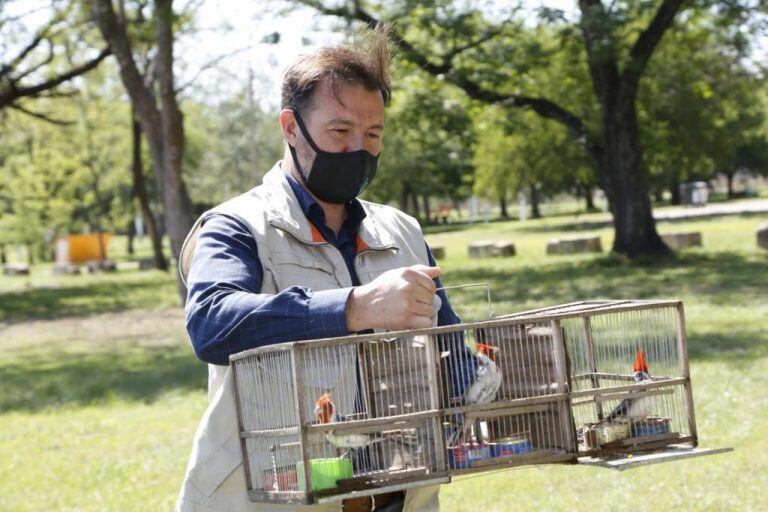 Aves de tráfico ilegal en Córdoba (Municipalidad de Córdoba)