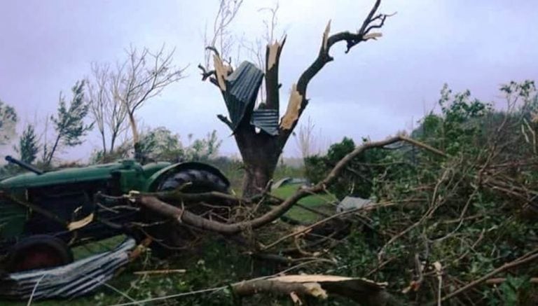 Un temporal destruyó el municipio de Caá Yarí. (Foto: Misiones Online)