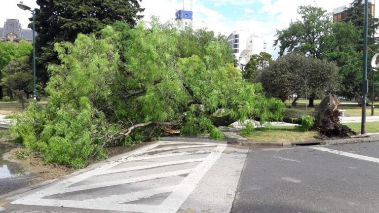 Temporal en Tres Arroyos, 1 de enero 2019