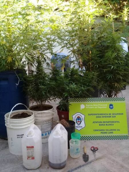 El primo de la ex intendente de Villarino detenido por tener plantas de marihuana