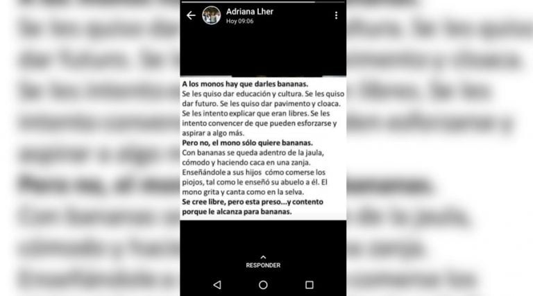 El texto viral que la diputada puso en su estado de Whatsapp (Plan B Noticias)