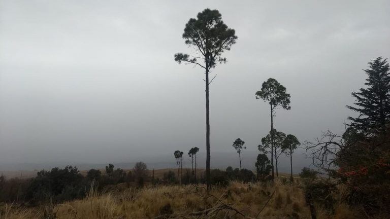 En Yacanto comenzó con la caida de agua nieve.