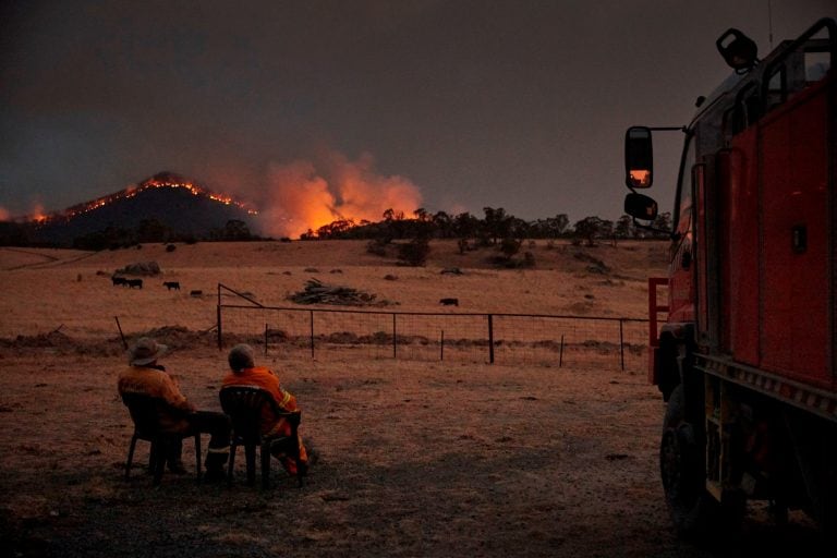 (Foto: Kiran Ridley / GREENPEACE AUSTRALIA PACIFIC / AFP)