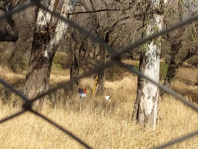 Se observan desechos, y todo tipo de basura. (Foto: prensa concejala Lenci).