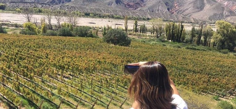 Vinos de Altura en Jujuy