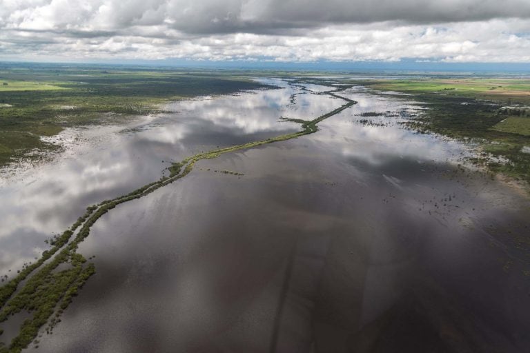 La Bolsa de Rosario pidió por la emergencia agropecuaria en el norte santafesino