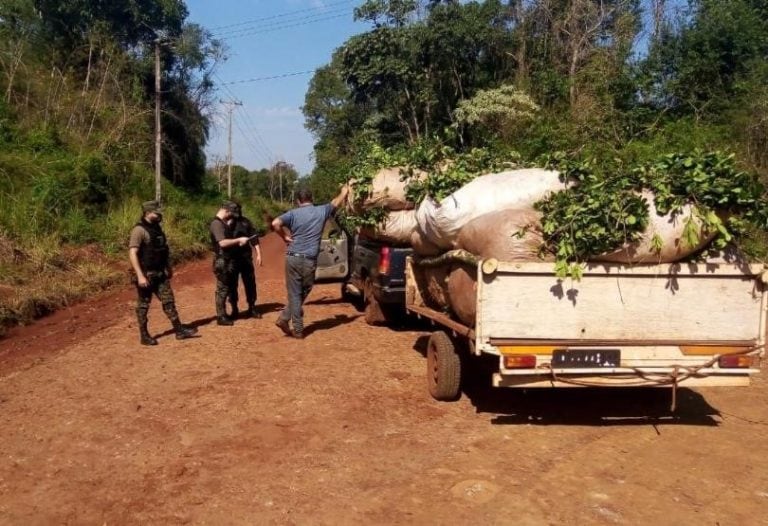 Reforzaron los controles rurales por hurto de yerba mate en la localidad de Montecarlo