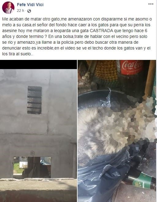 Denunciaron a un sujeto por robarse los gatos de un vecino y dárselos de comer a su perro.