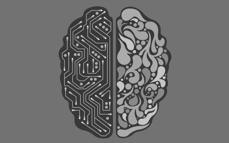 Un estudio realizado por investigadores de cinco universidades de los Estados Unidos, el Reino Unido y Australia ha intentado encontrar la respuesta a qué efecto tiene Internet sobre el cerebro humano.