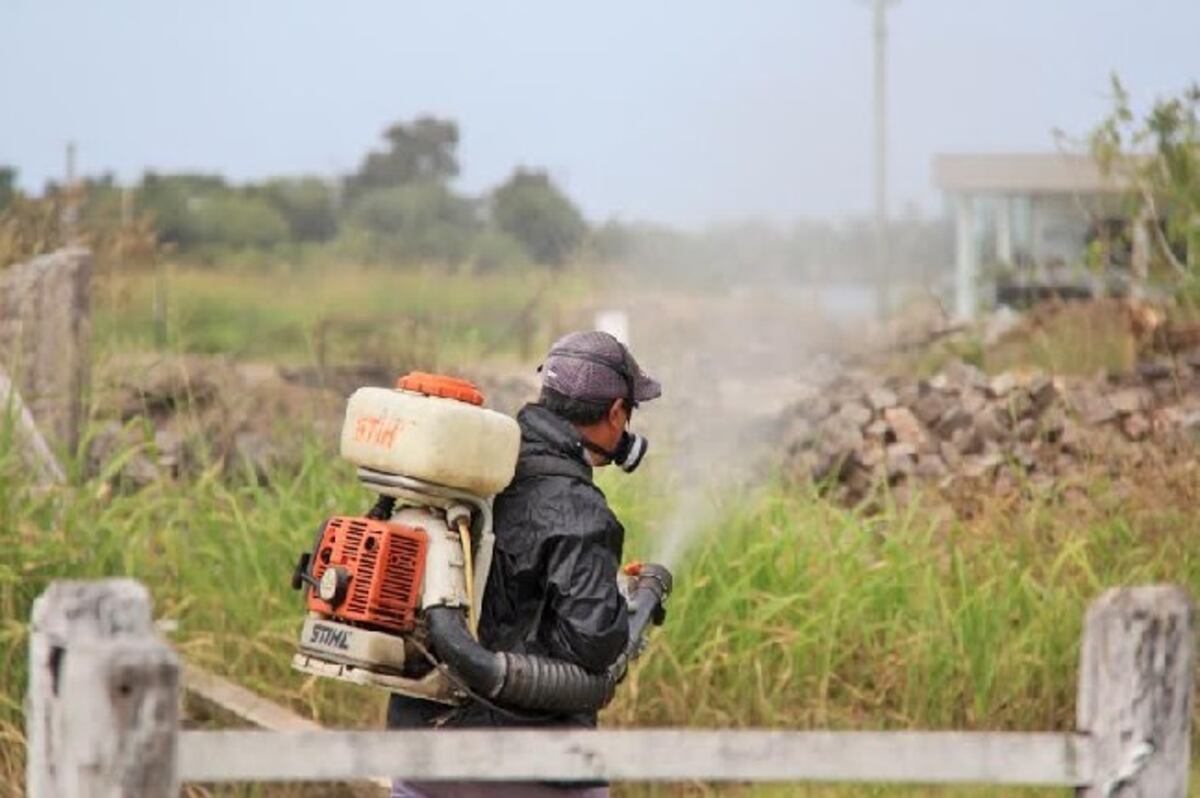 El abecé de los insecticidas naturales