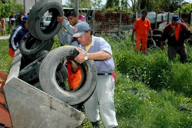 Dengue, zika y chikungunya: inició la campaña preventiva