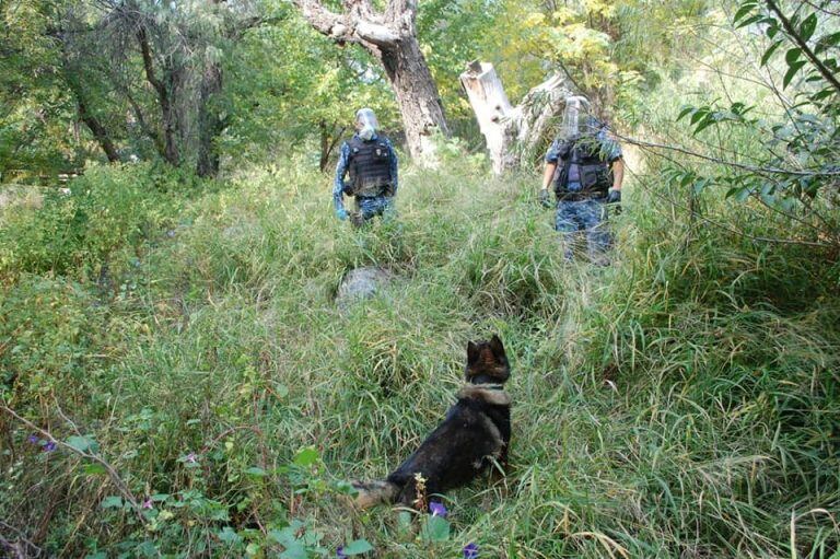 Operativo policial en inmediaciones de Capilla del Monte, este sábado por la tarde, (Foto: web).