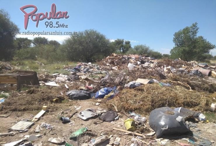 faltas graves a la ley ambiental