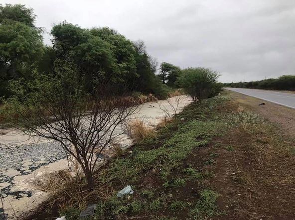 El río que esconde animales muertos, olor fétido y una ruta hundida