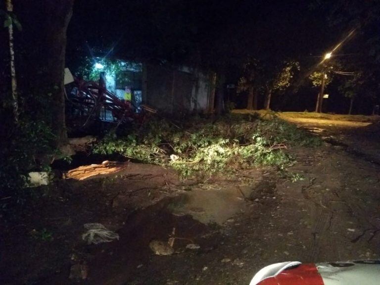 Destrozos por la tormenta