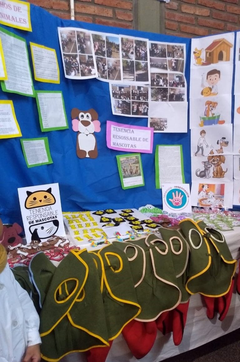 Alumnos de primer grado de la escuela Salteña Rene Favaloro fabricaron cuchas para el Centro de Adopciones Municipal. (Web)