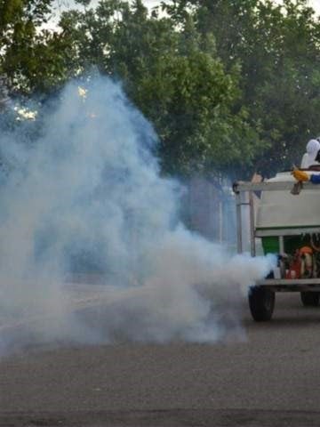 Fumigación - Operativo Dengue