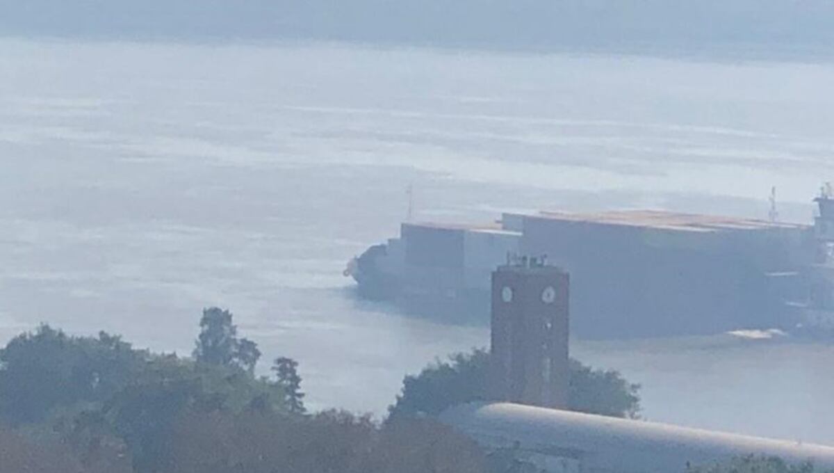Por el coronavirus bajó al mínimo el operativo contra incendios en las islas