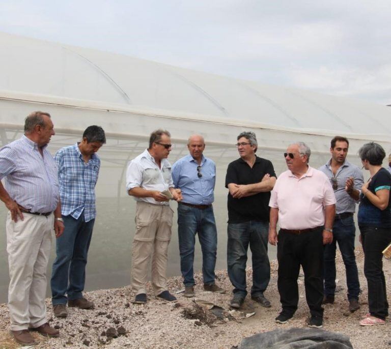 Recorrida de Javier Rodríguez en Molinos y Cordens, Tres Arroyos