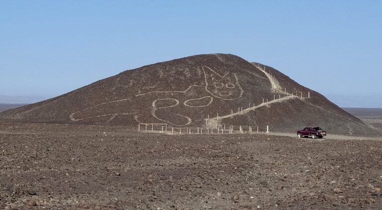 Un gato de 37 metros se suma a los enormes geoglifos de Nazca (Foto: EFE)