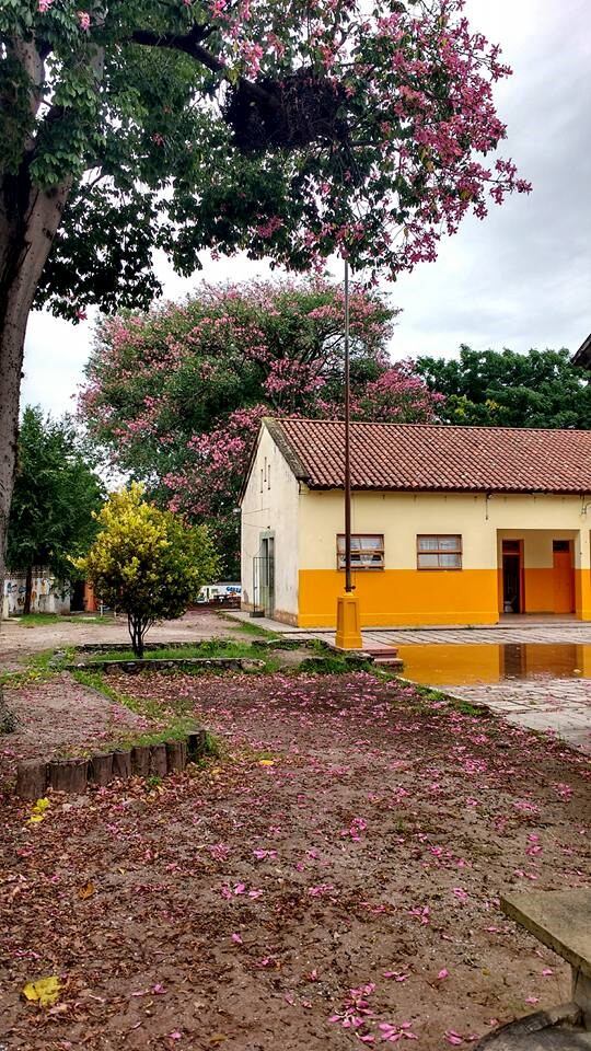 La escuela primaria Nogal Histórico tendrá un playón deportivo techado.