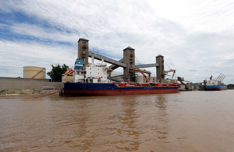 Grain is loaded aboard ships for export at a port on the Parana river near Rosario, Argentina, . REUTERS/Marcos Brindicci