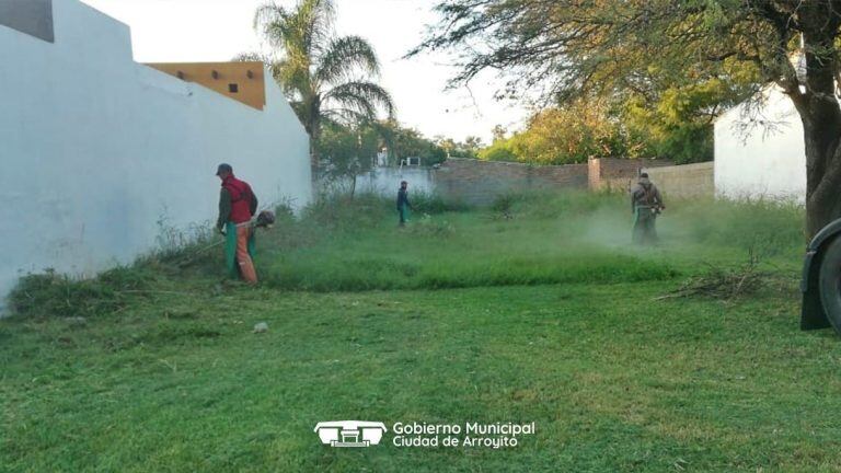 Fumigacion y desmalezado en Arroyito