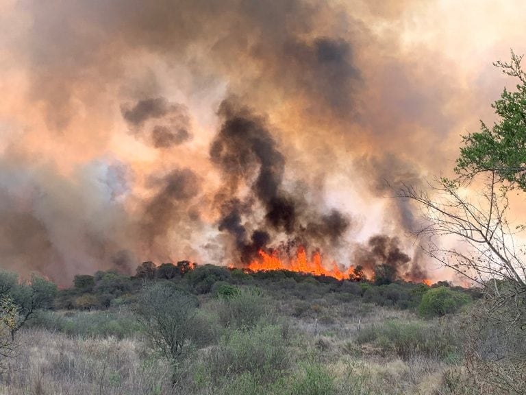 Incendio en Tierralta