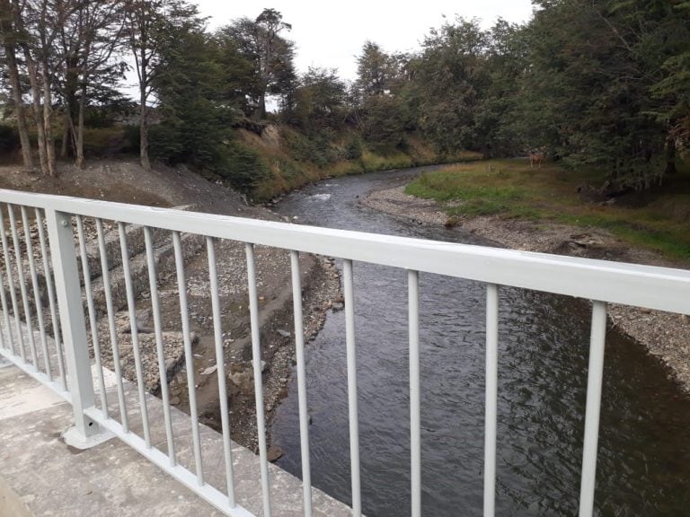 Inauguración del puente “Paseo de la mujer”.