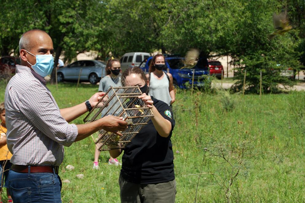 Las aves liberadas fueron rescatadas del cautiverio y rehabilitadas