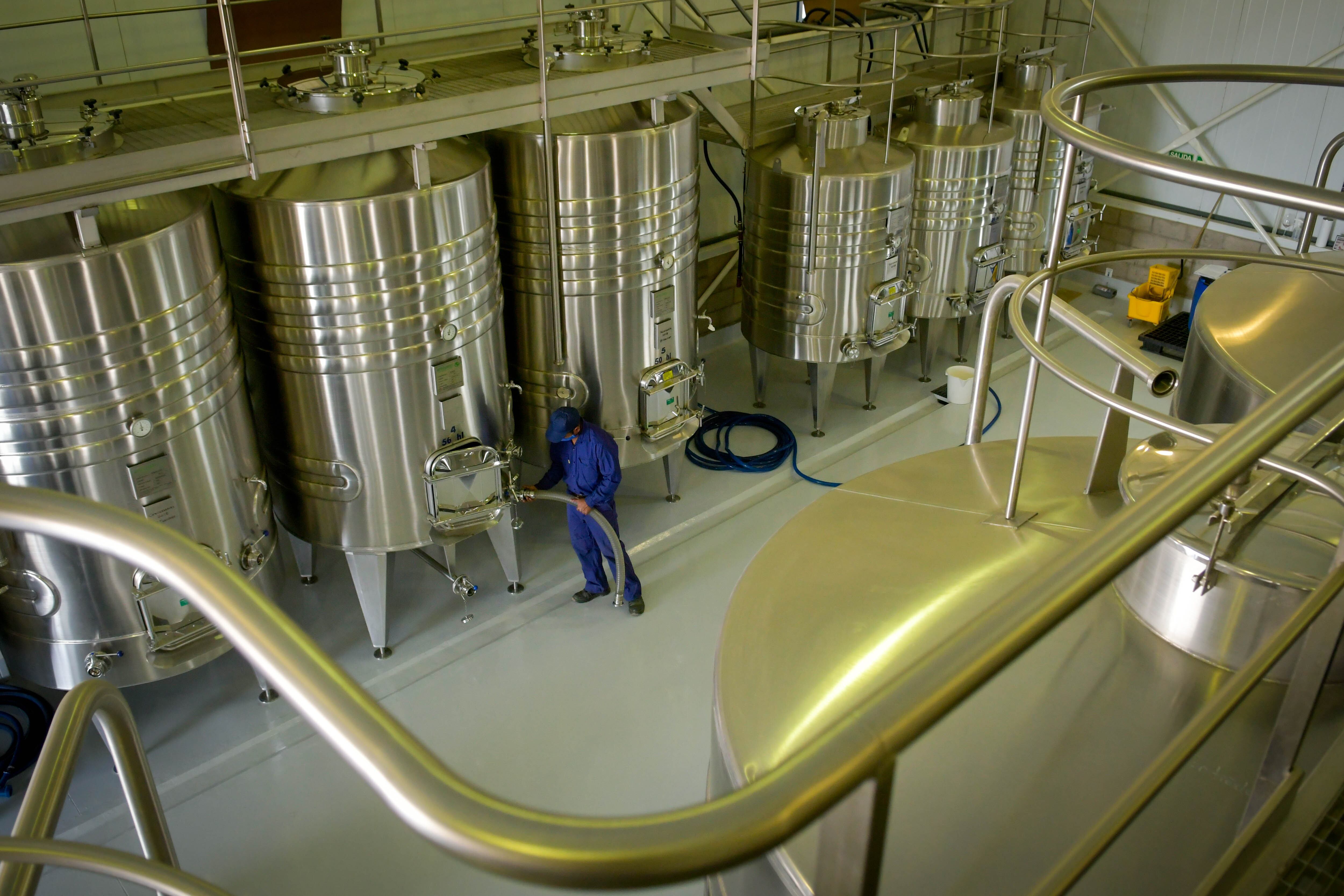 Bodega Mendocina- Imagen de archivo
 
Foto: Orlando Pelichotti / Los Andes

