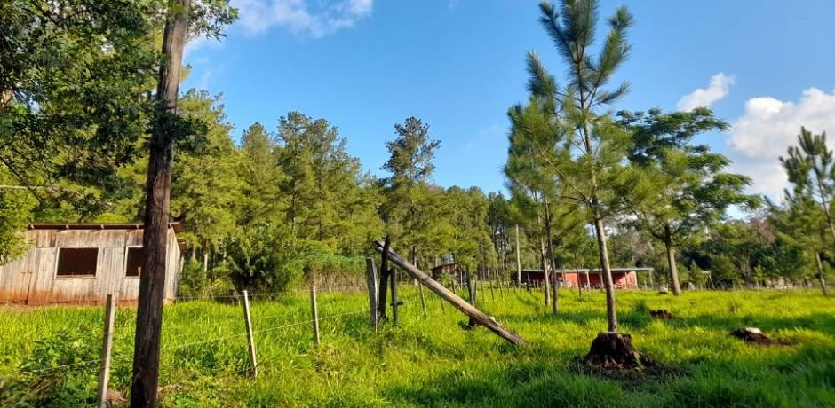 Menor demorado por robar cables del tendido eléctrico en 9 de Julio.