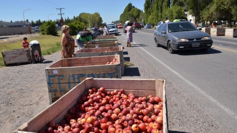 Chacareros regalarán manzanas en Cipolletti. Archivo.