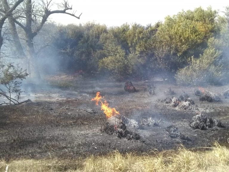 Incendio Claromecó