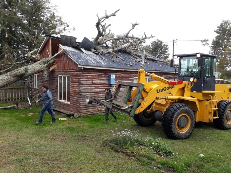 Árbol destrozó el techo de un recinto.