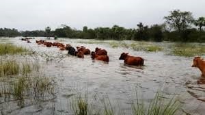 Estragos causados por las inundaciones (Web).