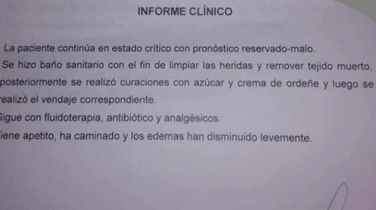 Paola, la perra que pelea por vivir.