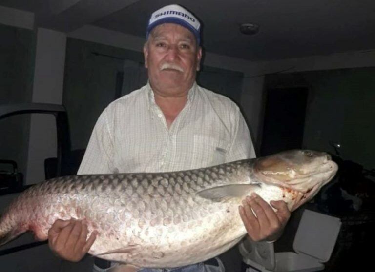 Se pescó una carpa de casi 40 kilos en el lago San Roque.