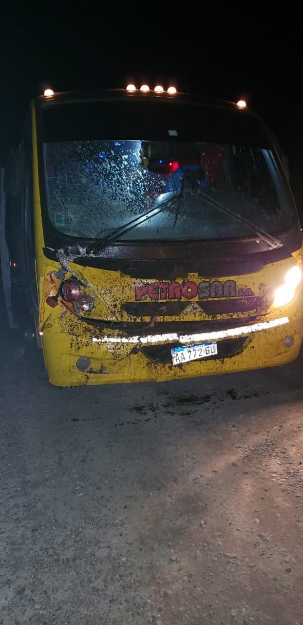 El colectivo embistió al animal en la ruta.