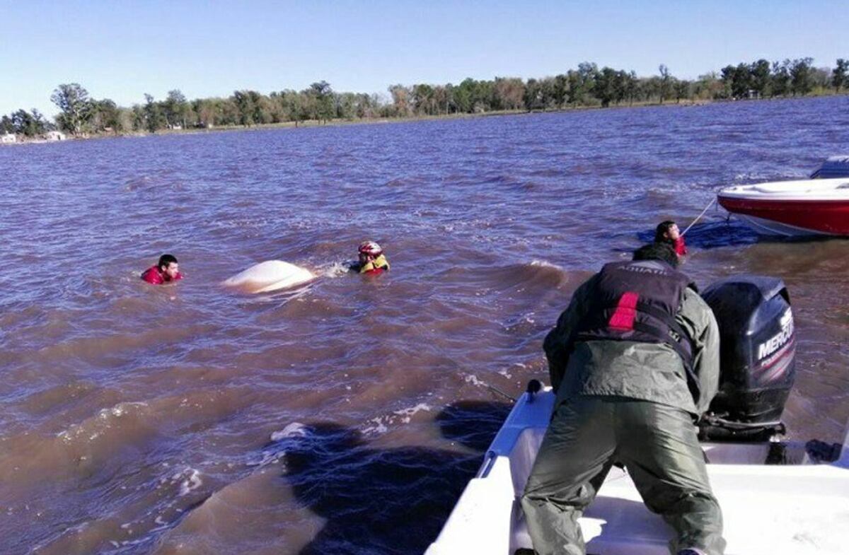 Encontraron el cuerpo del chico desaparecido mientras pescaba en la laguna Melincué