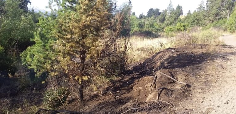 Incendio en Bariloche (Río Negro).