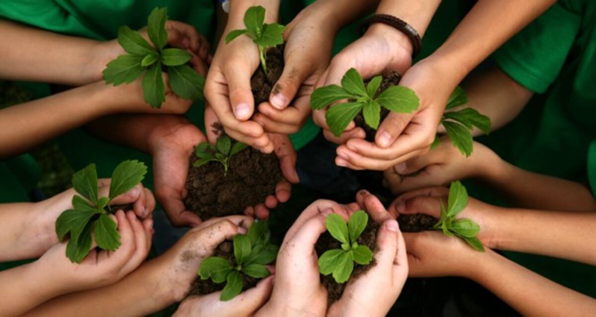 Más de mil niños prometerán protección y respeto al ambiente en Salta