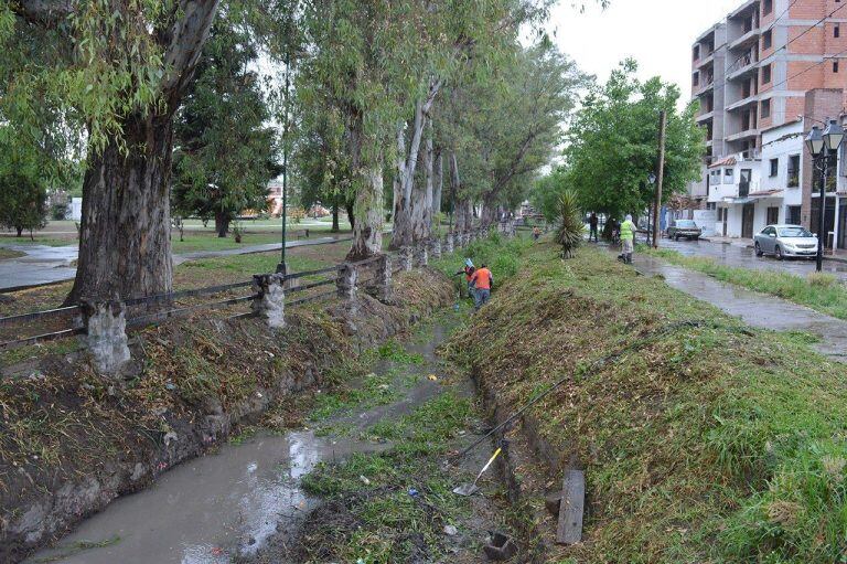 Canal Tineo (Web)