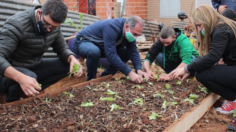 Plantines para la huerta orgánica en el Barrio Chacra 508 en el oeste de Posadas.