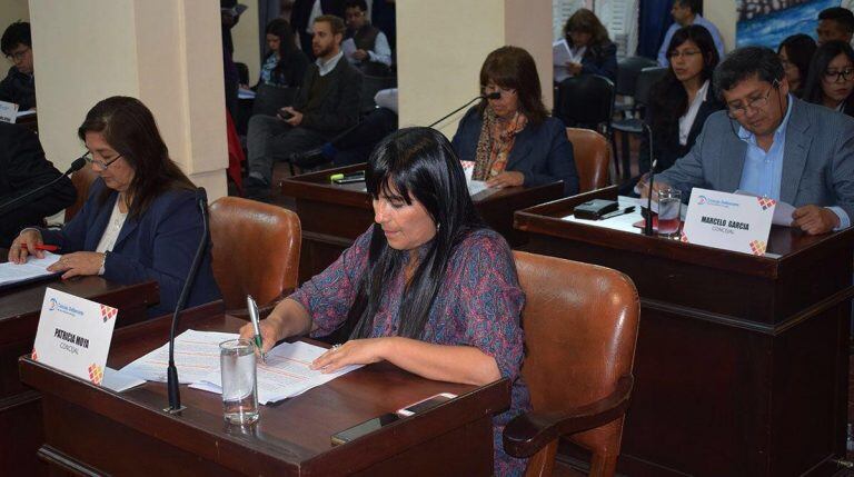 La nueva ordenanza fue aprobada por unanimidad en el Concejo Deliberante capitalino