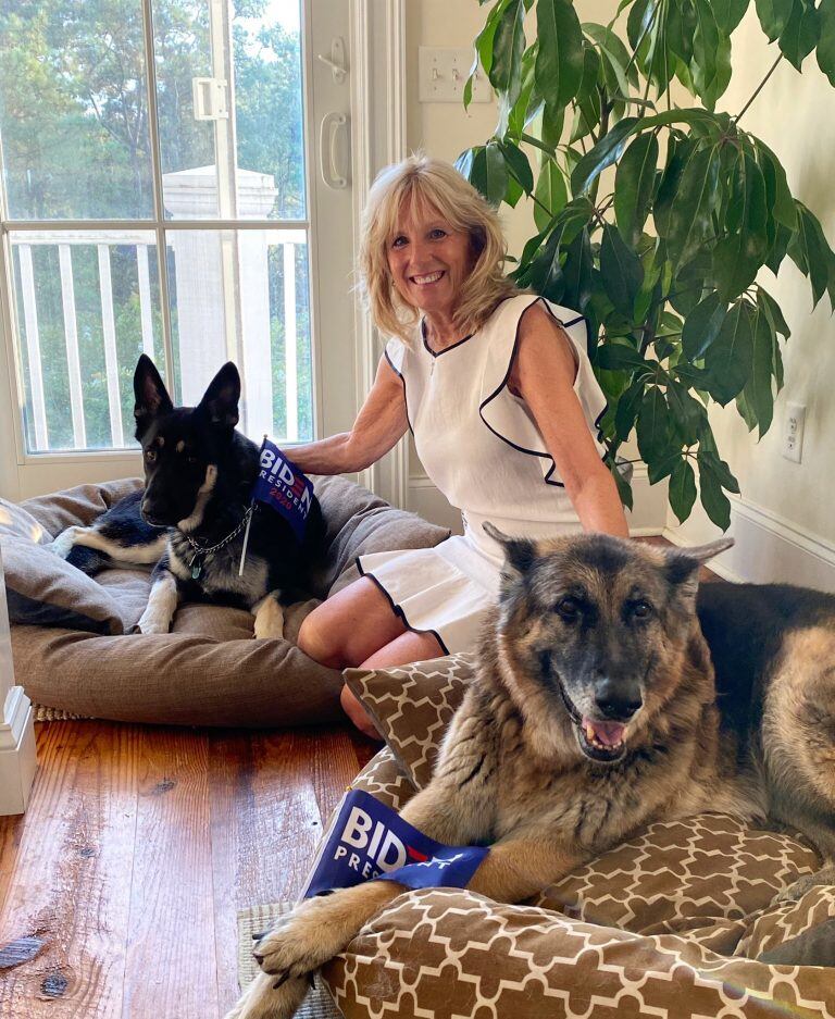 Jill Biden, esposa del presidente electo, junto a Major y Champ. (Twitter/DrBiden)