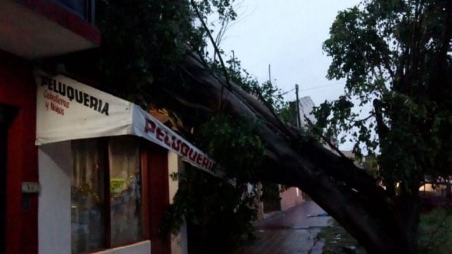 Tormentas en Paraná.