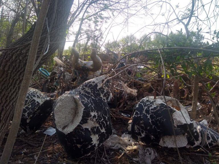 Denuncian a la Comparsa O´Bahía de Gualeguaychú.
Las fotografías expuestas fueron sacadas por el denunciante.
Crédito: Municipalidad Gualeguaychú